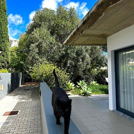 Bordal Houses Casa Da Areia ポルト・サント エクステリア 写真